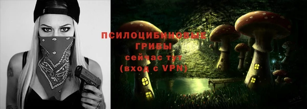 mdpv Алзамай